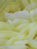 Preview - Click to zoom